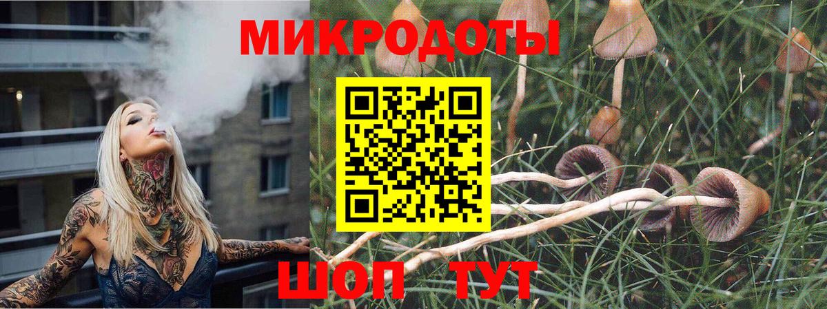 Псилоцибиновые грибы Psilocybine cubensis  Псилоцибиновые грибы MAGIC MUSHROOMS  Вход с VPN  Кунгур 