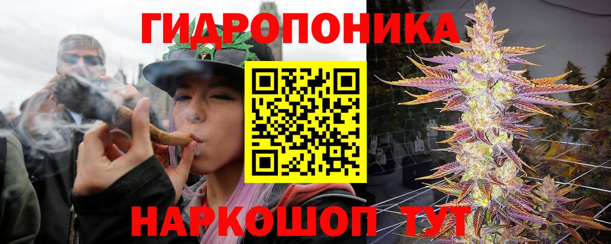 Кунгур  Канабис Ganja  Вход с VPN  Бошки марихуана сатива 